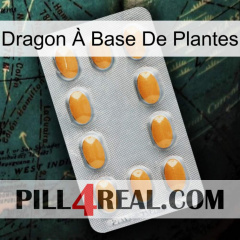 Dragon À Base De Plantes cialis3